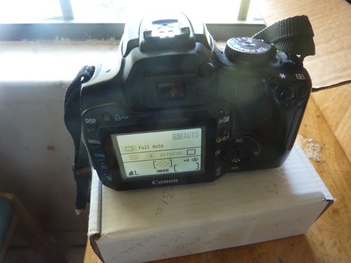 Canon eos digital - rebel, xti